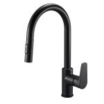 Змішувач для кухонної мийки з висувною лійкою EDN4-A-YB