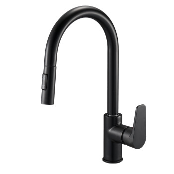 Змішувач для кухонної мийки з висувною лійкою EDN4-A-YB